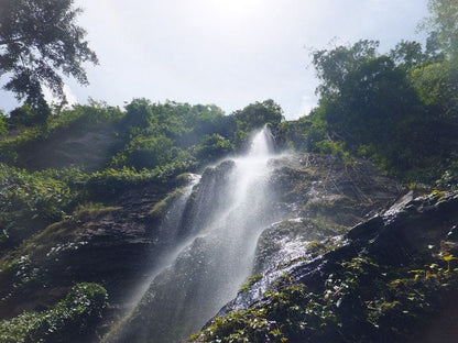 Ote Waterfall & Canopy Walk Way Tour: Explore The Volta Region - Torpedo Travs