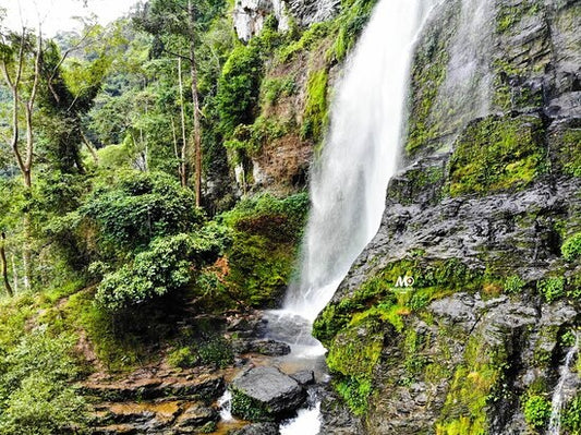 Ote Waterfall & Canopy Walk Way Tour: Explore The Volta Region - Torpedo Travs